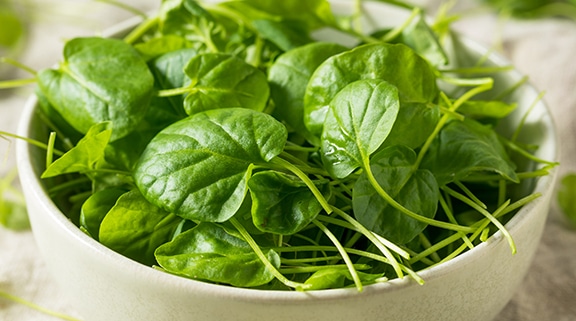 Add Watercress To Your Diabetes Diet This Spring